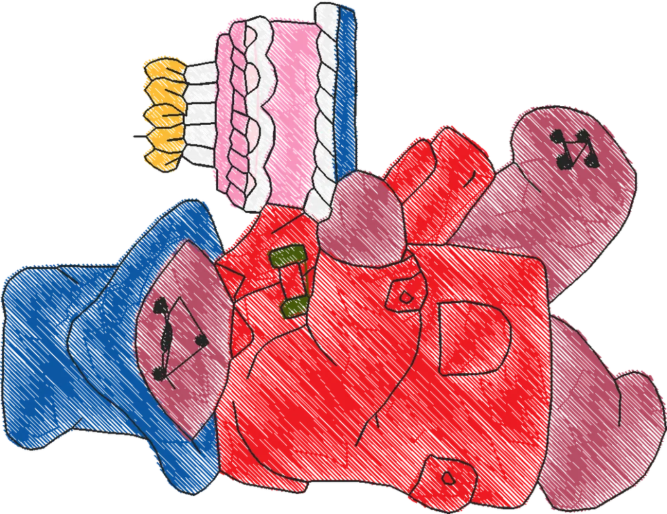 Paddington Bear3 (11)